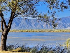 -野鸭湖国家湿地公园