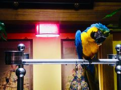 门面-那家小馆•北京菜•烤鸭(中关村店)