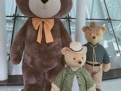 -济州岛泰迪熊博物馆