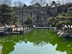 -中国唐苑