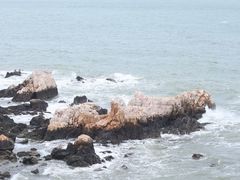 -养马岛旅游度假区