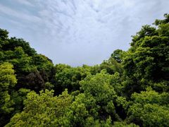 -南山植物园