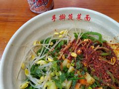 -手擀菠菜面(西康路店)