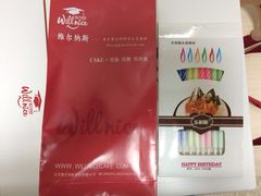 维尔纳斯蛋糕-维尔纳斯·生日蛋糕动物奶油冰淇淋蛋糕(人大店)