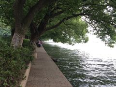 -百年尹氏汤包(湖南路狮子桥店)