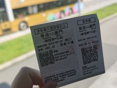 -港珠澳大桥(珠海段)