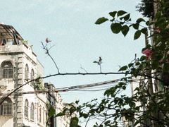 -海口骑楼老街历史文化街区