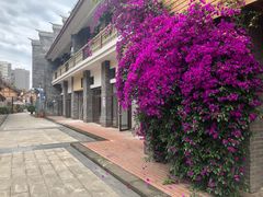 -新津老码头旅游小镇