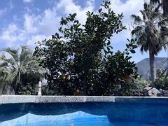 -济州山房山碳酸温泉