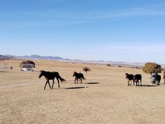 -五角枫生态旅游景区