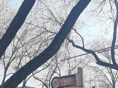 -白魁老号饭庄(安内店)