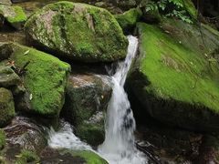 -陕西省红河谷森林公园