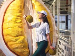 -都念榴莲·城市榴莲