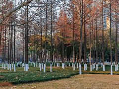 -西北湖绿化广场