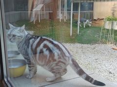 -猫的天空之城概念书店(北戴河蔚蓝海岸店)