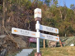 -板樟山森林公园