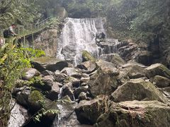 -藏龙百瀑风景区