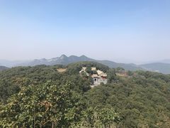 -中原农家乐(中原饭店)