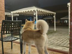 -意大利农场西餐厅(顺义店)