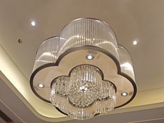 -同庆楼(奥体中心店)