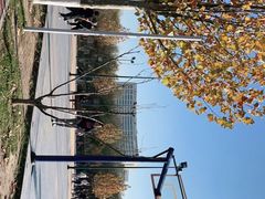 -水西公园