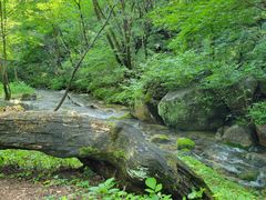 -玉渡山自然风景区