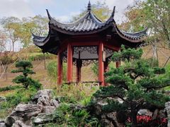 -龙华寺
