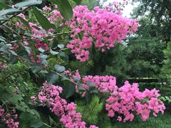 -国家植物园南园