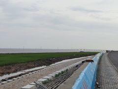 -南汇嘴观海公园