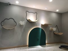 -飞行喵MR PILOT|猫舍·猫咖(静安大融城店)