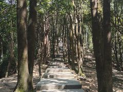 -火炉山森林公园