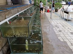-海岸风情蒸汽海鲜自助餐厅(家宴金手勺店)