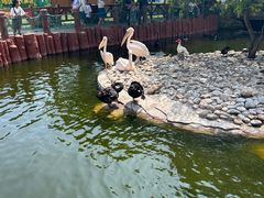 -大连老虎滩海洋公园