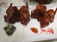 -绿杨春·淮扬宴(庐山路店)