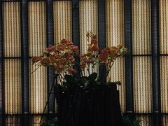 -上海璞麗酒店