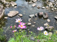 -石台牯牛降景区