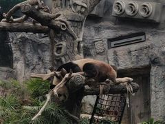 -石排湾郊野公园