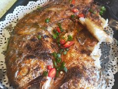 -九府羊·鲜羊火锅·烤串(新华路店)