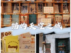 -猫的天空之城概念书店(苏州平江店)
