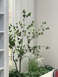 -亦美瑜伽·普拉提