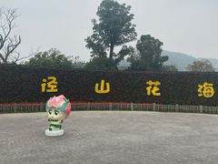 -径山花海