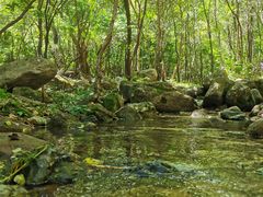 -玉渡山自然风景区