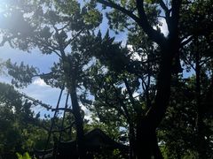 -MONICH牛排融合餐厅(和义大道购物中心店)