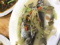 -长平老姿娘夜粥(平东一街店)