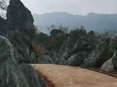 -千岛湖石林