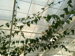 -中国农科院国家农业科技展示园