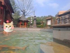 -咸宁万豪温泉谷度假区