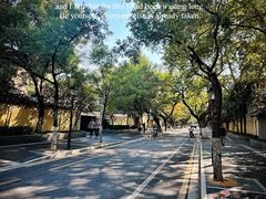 -颐和路民国时期公馆风貌区