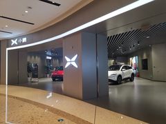 -小鹏汽车体验中心(苏州龙湖狮山天街店)