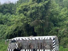 -贵州森林野生动物园